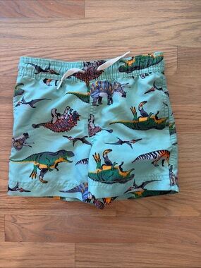 Hanna Andersson Light Teal Dinosaur Swim Shorts